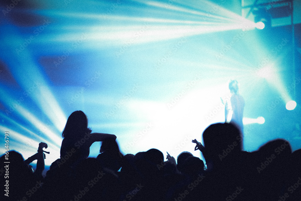 Partying crowd at a concert