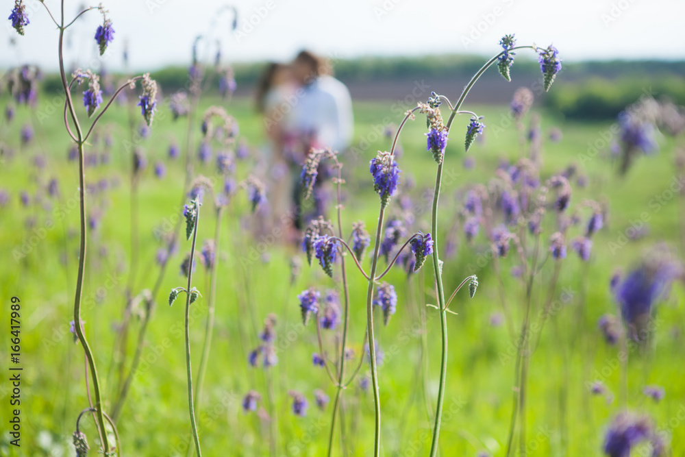 Just married loving couple in wedding dress on green field in a forest at summer