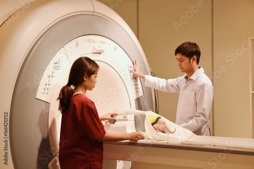 veterinarian doctor working in MRI scanner room