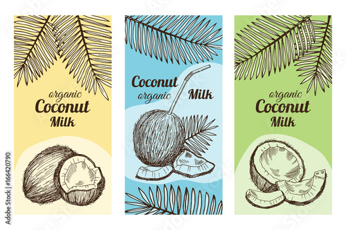 Labels for package design with hand drawn illustrations of coconut. Vector template with place for your text