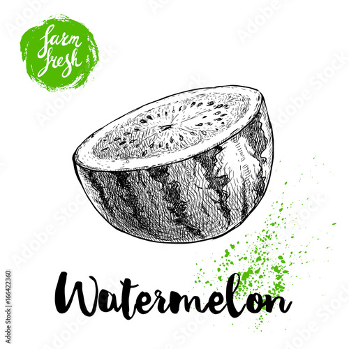 Hand drawn sketch style watermelon half cut vector illustration. Farm fresh fruit isolated on white background. Eco organic food poster.