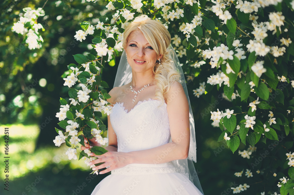Image of incredibly beautiful bride, the fair-haired girl in a white dress and a veil. Portrait of the young girl in a white dress Image of incredibly beautiful bride, the fair-haired girl in a white dress and a veil. Portrait of the young girl in a white dress