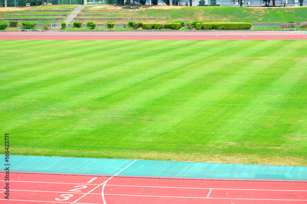 Obraz premium 競技場のグランド