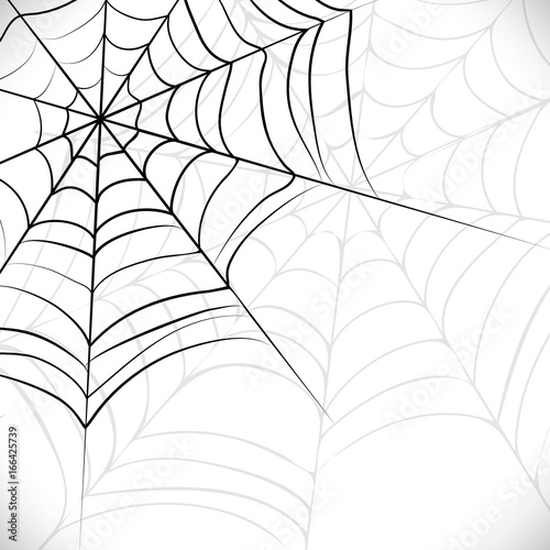 Vector spider web.