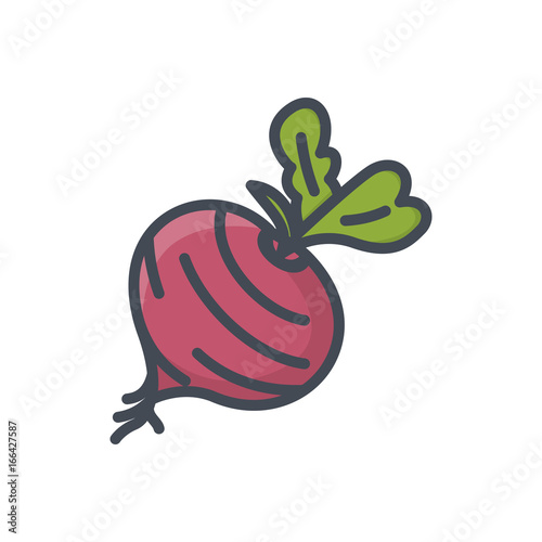 Food vegetables colored icon beetroot