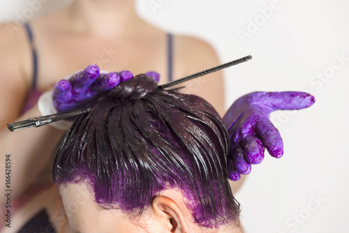 Wallpaper Mural Coloring a woman's hair in purple color by a master hairdresser Torontodigital.ca