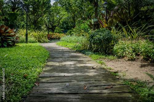 Wooden Pathway in garden