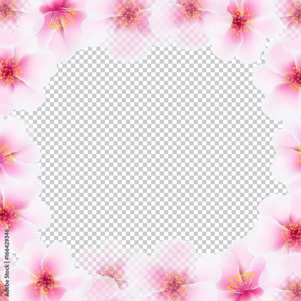 Cherry Flower Frame With Transparent Background