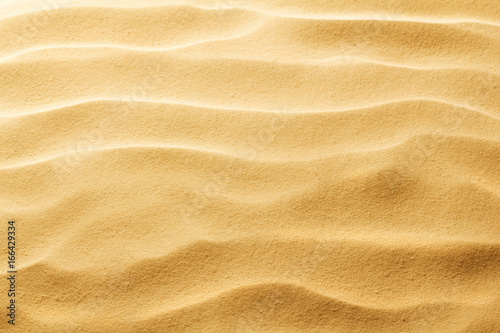 beach sand background © Alexstar