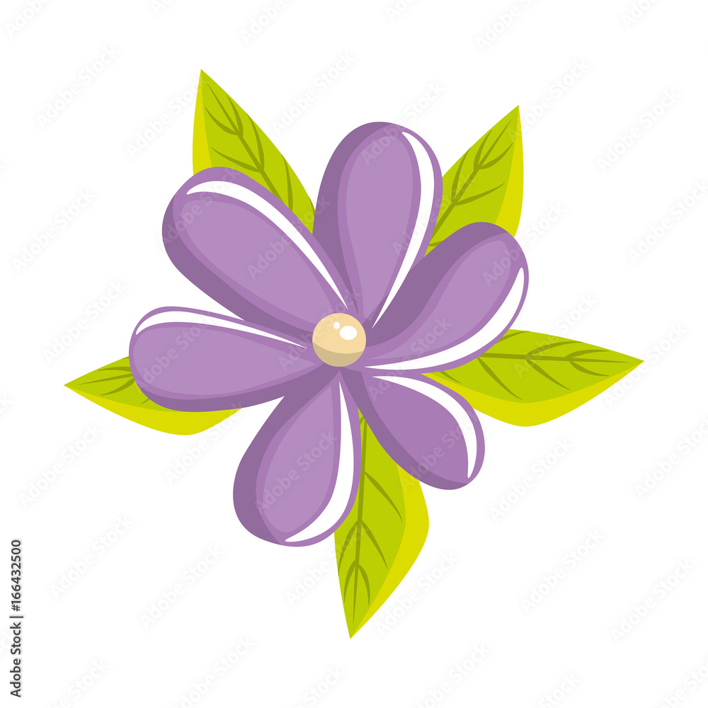 Beautiful flower with petals Beautiful flower with petals