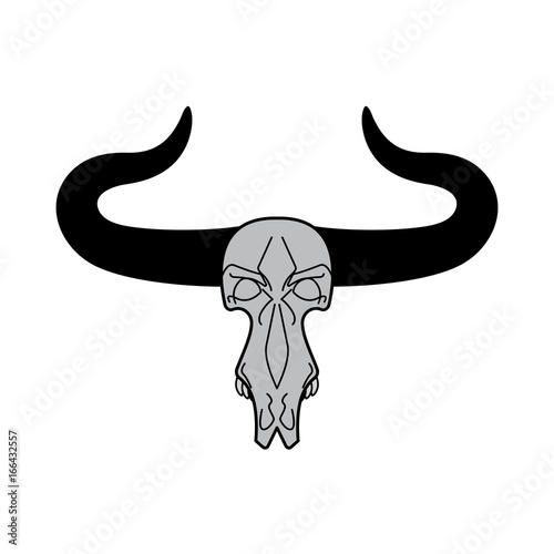 Skull cow. head of skeleton bull. Death of an farm animal. Remains cattle
