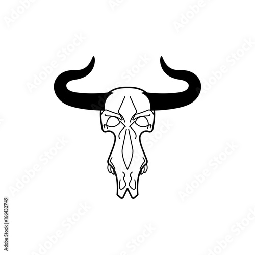 Skull cow. head of skeleton bull. Death of an farm animal. Remains cattle