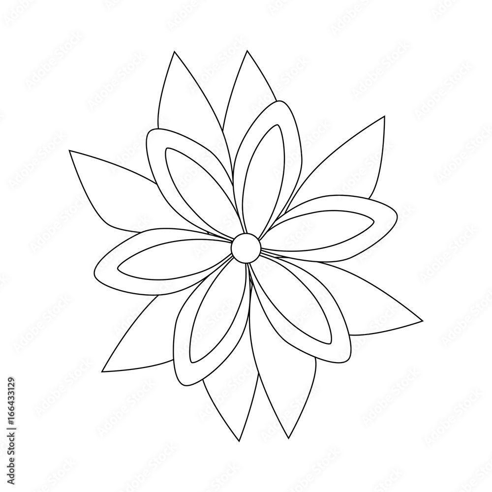 Beautiful flower with petals Beautiful flower with petals