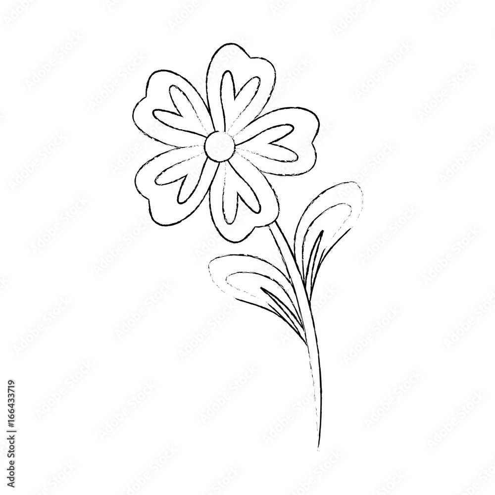 Beautiful flower with petals Beautiful flower with petals