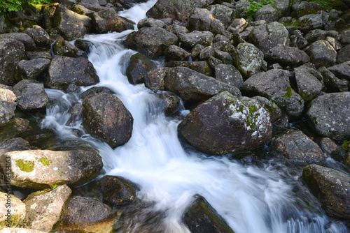 creek in mountain