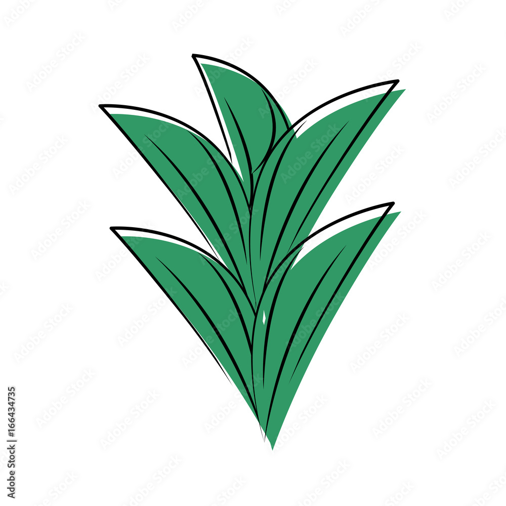 leaves icon image leaves icon image