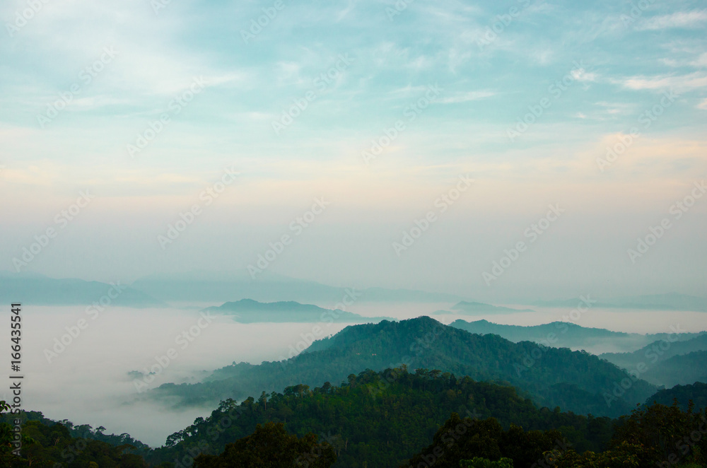 Morning mist on the mountain