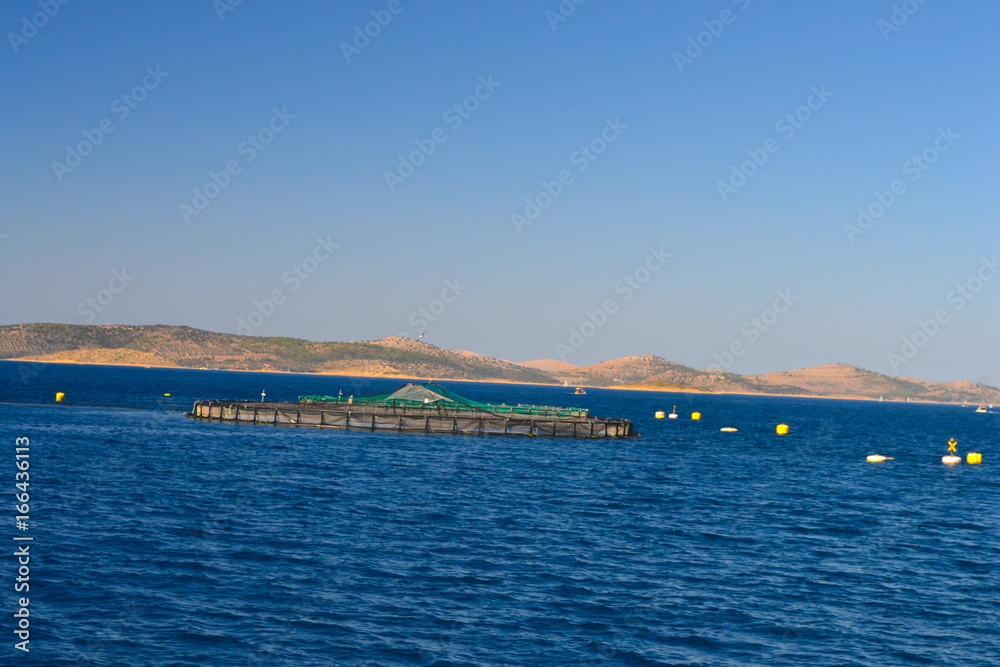 Circle green fish cages in the Adriatic sea, Dalmatia, Croatia 