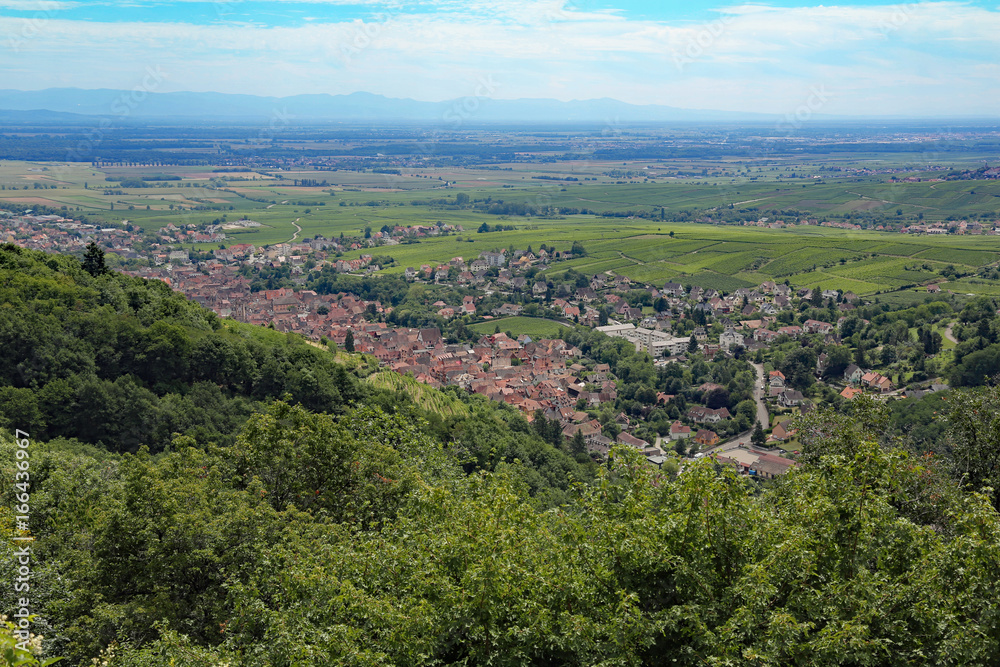 Blick auf Ribeauvillé