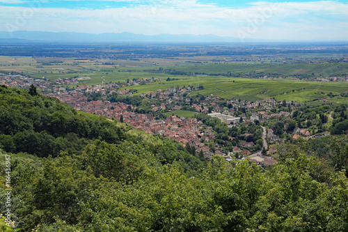 Blick auf Ribeauvillé