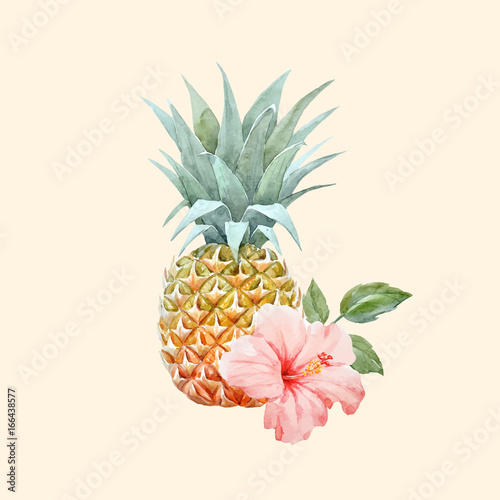 Watercolor vector pineapple fruit