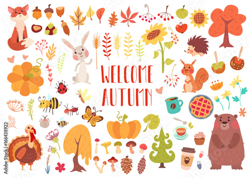 Cute animals and plants set