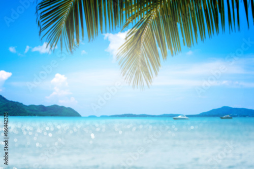 blurred image Coconut leaf and beautiful sea background in summer.
