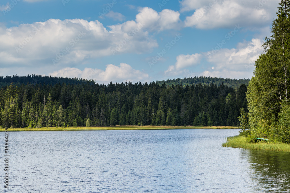 Fototapeta premium protected sanctuary lake Rosenhofteich