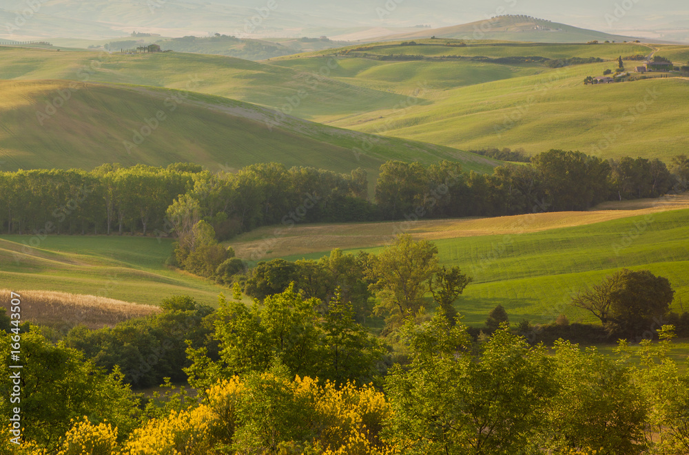 Landscape of Tuscany in the morning light