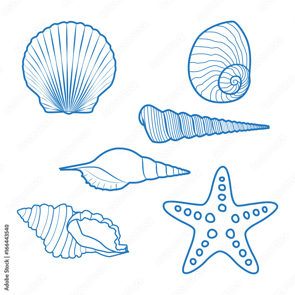 Sea shells and starfish. Blue outline drawing. Stock Vector | Adobe Stock