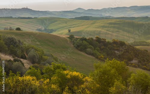 Landscape of Tuscany in the morning light
