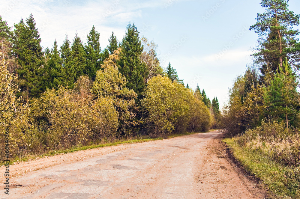 Fototapeta premium Dusty concrete road surrounded by forest in the fall