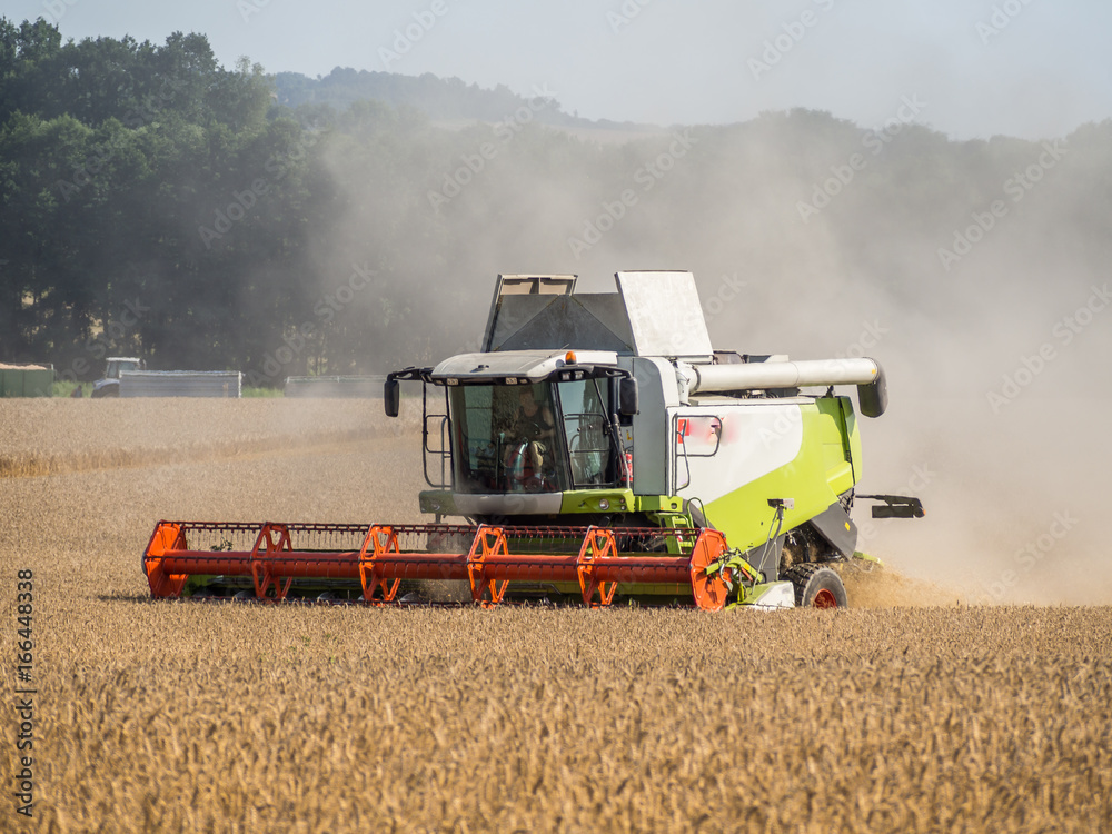 Obraz premium Mähdrescher bei der Ernte