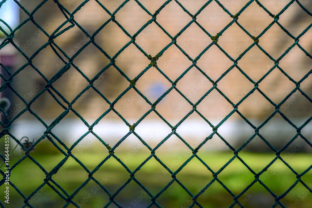 Fence fragment from wire Fence fragment from wire