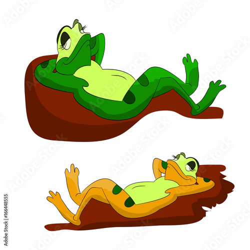 Two lazy frogs who sleep on pebbles, a cartoon on a white background.vector