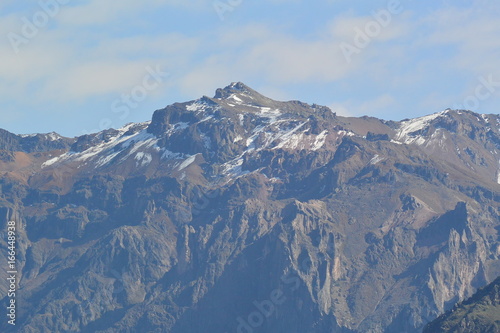 Colca Canyon Peru Condor