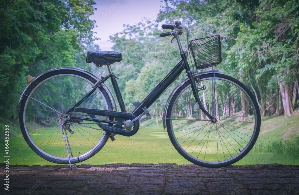 Vintage bicycle parked on the road. Cool tone.