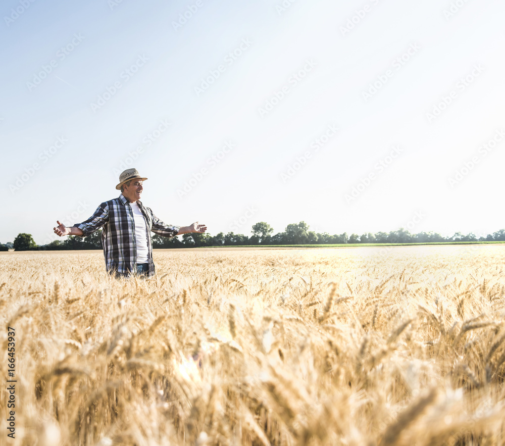 Happy senior farmer standing in wheat field Happy senior farmer standing in wheat field