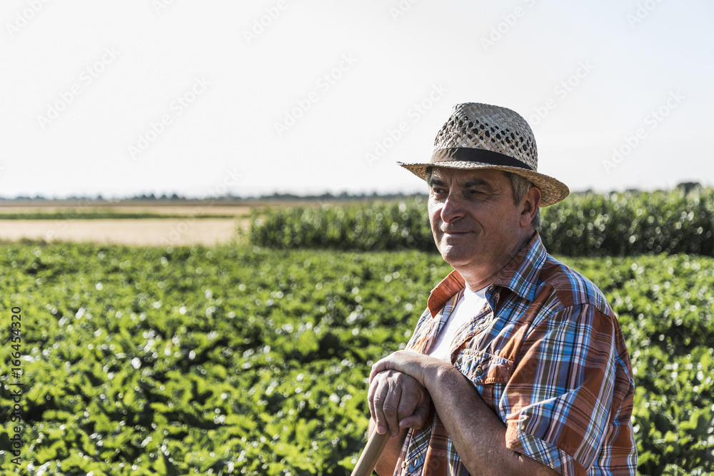 Portrait of smiling senior farmer standing in front of a field