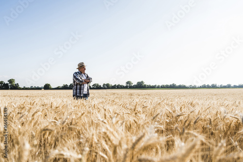Happy senior farmer standing in wheat field © Westend61