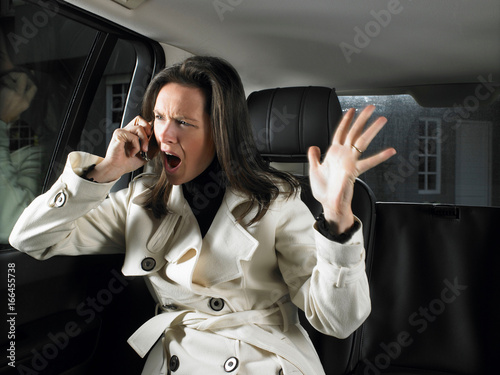 Εκτύπωση καμβά Woman in car, on the phone