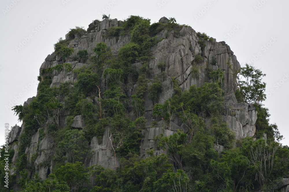 A mountain with trees on it in Thailand