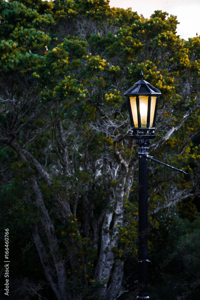 Black Old Fashioned Lamp Post In Nature