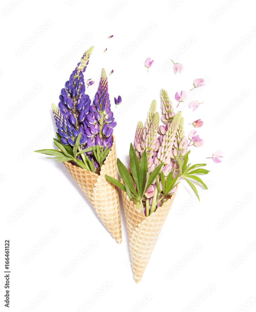 Pink and blue lupine flowers in waffle cone