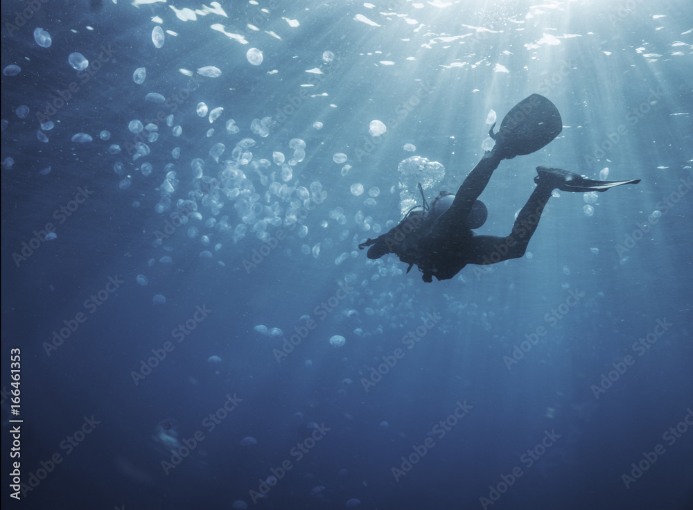 Scuba diver under water with Jellyfish swarm and sun rays, 
