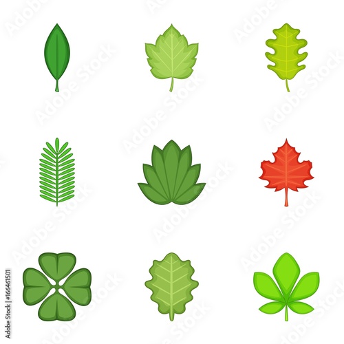 Leaves icons set  cartoon style