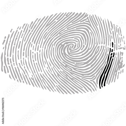 Alphabet Font fingerprint. Letter i. Vector illustration.