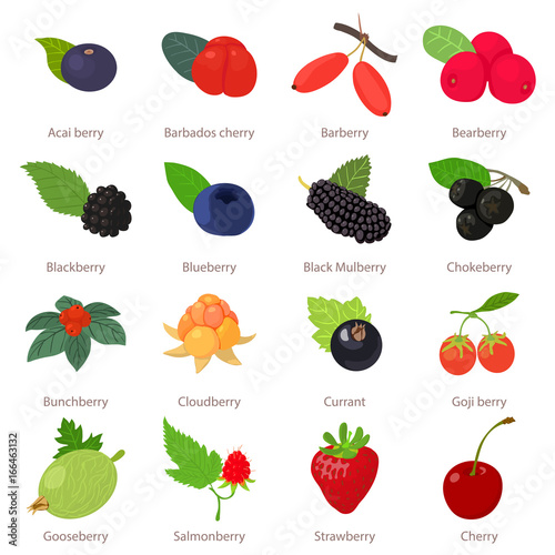 Berries icons set, cartoon style