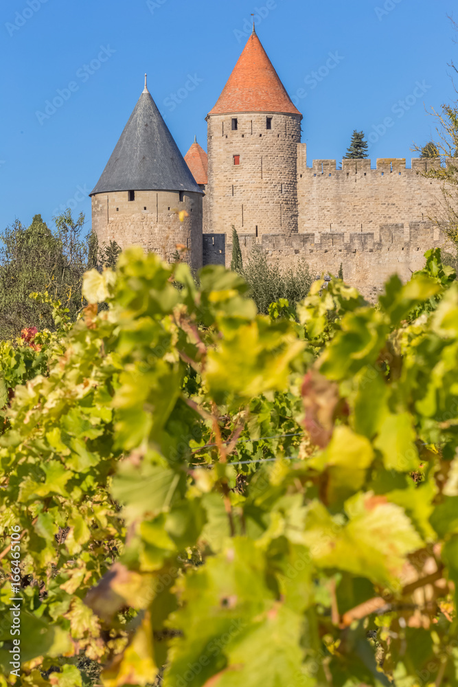 les tours de Carcassonne derrière les vignes 