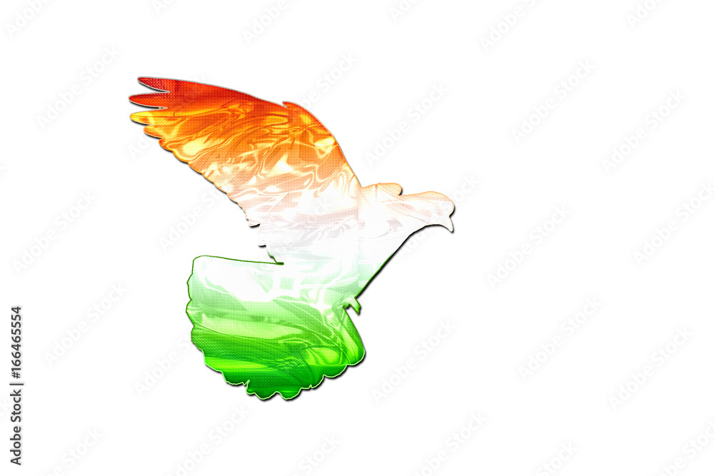 National Symbols of India | National symbols, Coloring pages, Flag coloring  pages